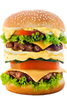 Big Burger Image